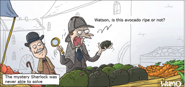 Sherlock's ultimate mystery