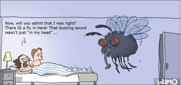 I told you there was a fly in here!